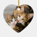 Suche nach niedliche katze ornamente Für kinder