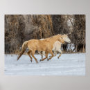 Suche nach galoppieren poster Winter
