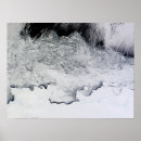 Suche nach antarktis poster Raum