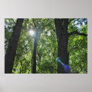 Suche nach große sonne poster Sonnenschein