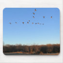 Suche nach menge mousepads Vögel