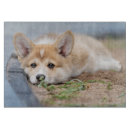 Recherche de formation de chien planches à découper Chiot