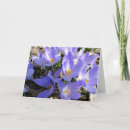 Suche nach krokusse karten Frühling