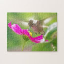 Suche nach kolibri puzzle Fotografie