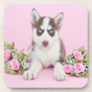 Recherche de marionnette dessous de verres Chien des neiges