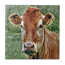 Suche nach cow fliesen Kühe