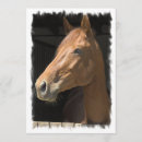 Recherche de pur sang invitations Poney