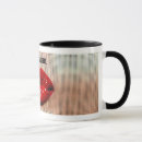 Recherche de sensuel tasses Amour