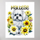 Recherche de mignon de chien art Aquarelle