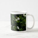 Suche nach jasmin blume tassen Natur