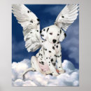 Recherche de chiot dalmatien posters Animal