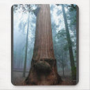 Suche nach riesen mousepads Wald