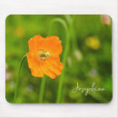 Suche nach orange mohnblume mousepads Sommer