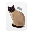 Recherche de aux yeux bleus magnets Pour tous
