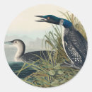 Recherche de audubon autocollants John