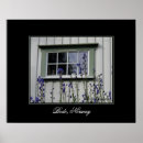Suche nach garten fenster poster Blume