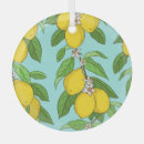 Suche nach zitronen ornamente Blume