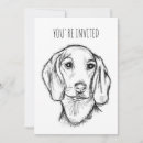 Recherche de teckels invitations Chien