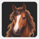 Suche nach weißes pferd aufkleber Equine