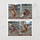 Recherche de folie cartes postales Pour lui