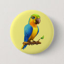 Recherche de perroquets badges Oiseaux