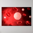 Suche nach immunsystem poster Illustration