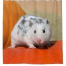 Suche nach schwarzer hamster Niedlich