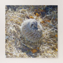 Suche nach pflege puzzle Tierwelt
