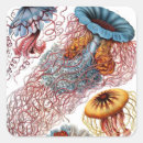 Recherche de meduse autocollants Pour tous