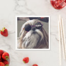 Recherche de shih tzu serviettes Amoureux des chiens