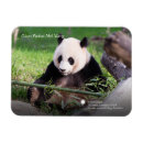 Recherche de géants magnets Animaux