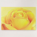 Suche nach gelbe rose puzzle Sommer