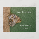 Suche nach gepunktete eule postkarten Braun