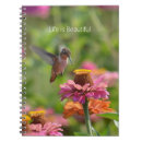 Recherche de colibri photographie Nature