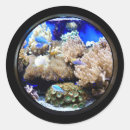 Suche nach aquarium aufkleber Salzwasser