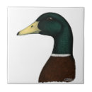 Suche nach stockente fliesen Wasservögel