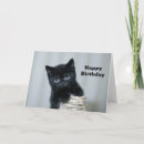 Recherche de twins anniversaire cartes Chat