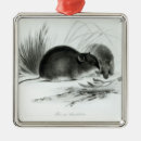 Suche nach 1832 ornamente 19
