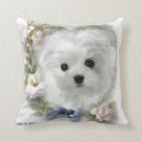 Recherche de bichon décoration coussins Pour tous