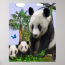 Suche nach pandabär poster Tiere