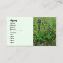 Suche nach vincent van gogh visitenkarten Blume