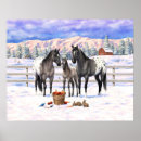 Recherche de poulain posters Ranch