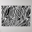 Suche nach zebramuster poster Zebrastreifen