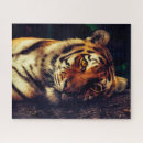 Suche nach tiger puzzle Katze