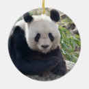 Suche nach chinesische tiere ornamente China
