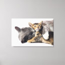 Recherche de cute impressions sur toile Amour