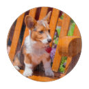 Suche nach freundschaft schneidebrettchen Hund