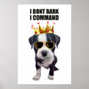 Suche nach ironie poster Spaß