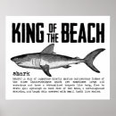 Recherche de requin vintage posters Plage