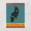 Recherche de oiseau australien cartes postales Vintage